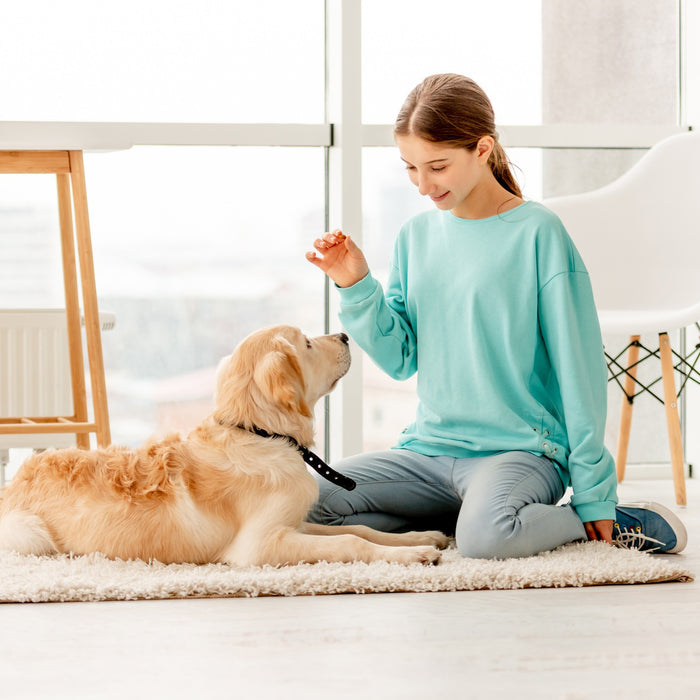 Le 10 cose che non sapevi sul tuo cane