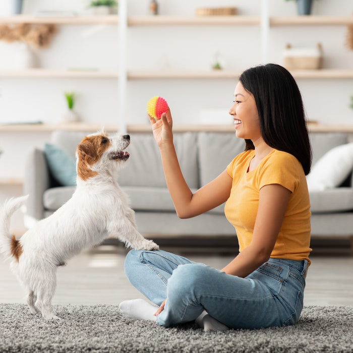 Giocattoli interattivi per cani