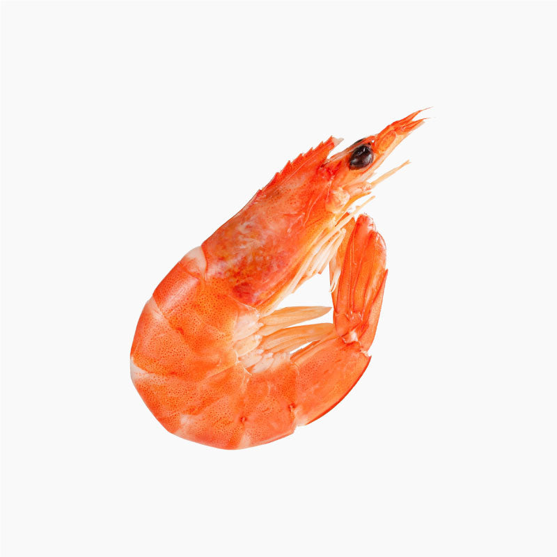 Gamberi