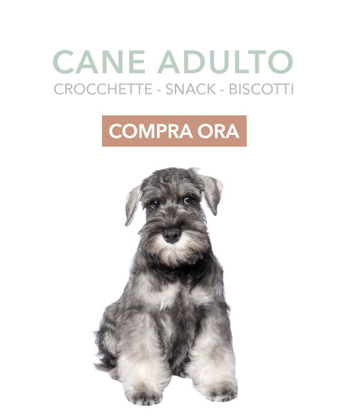 Alimento Cane