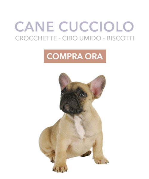 Alimento Cane