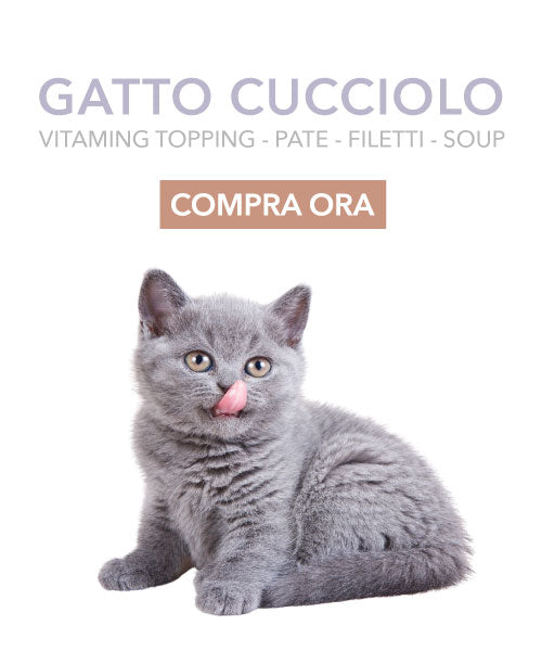 Alimento Gatto