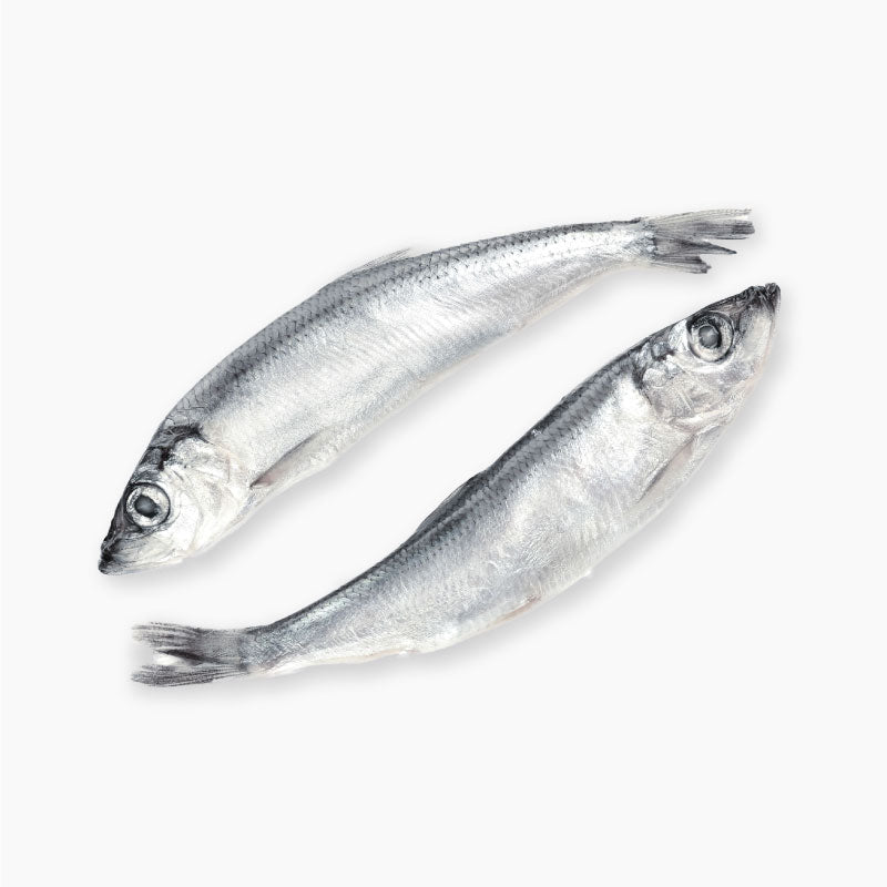 Pesce Azzurro